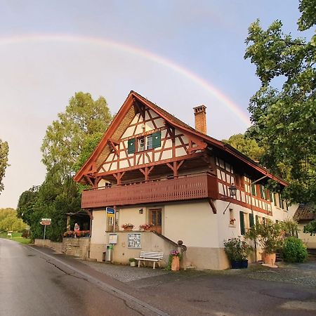 Studio Beim Rhein - Ziegelhuette Flaach Exteriör bild
