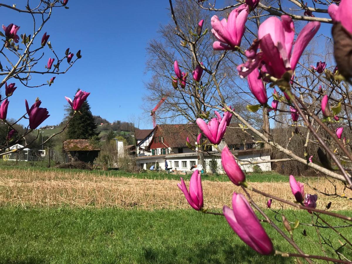 Studio Beim Rhein - Ziegelhuette Flaach Exteriör bild