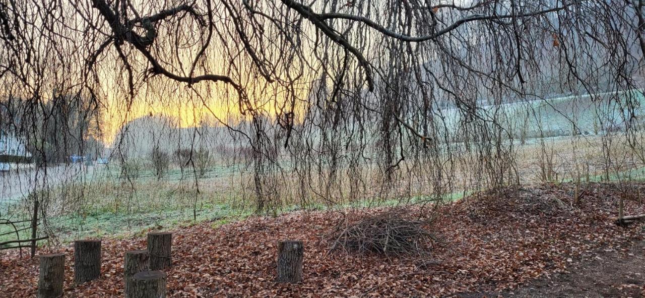 Studio Beim Rhein - Ziegelhuette Flaach Exteriör bild