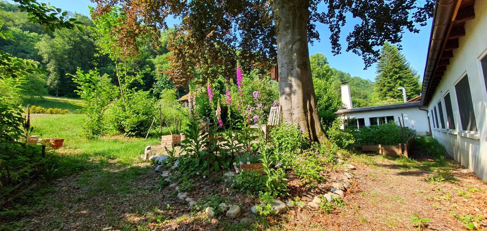 Studio Beim Rhein - Ziegelhuette Flaach Exteriör bild