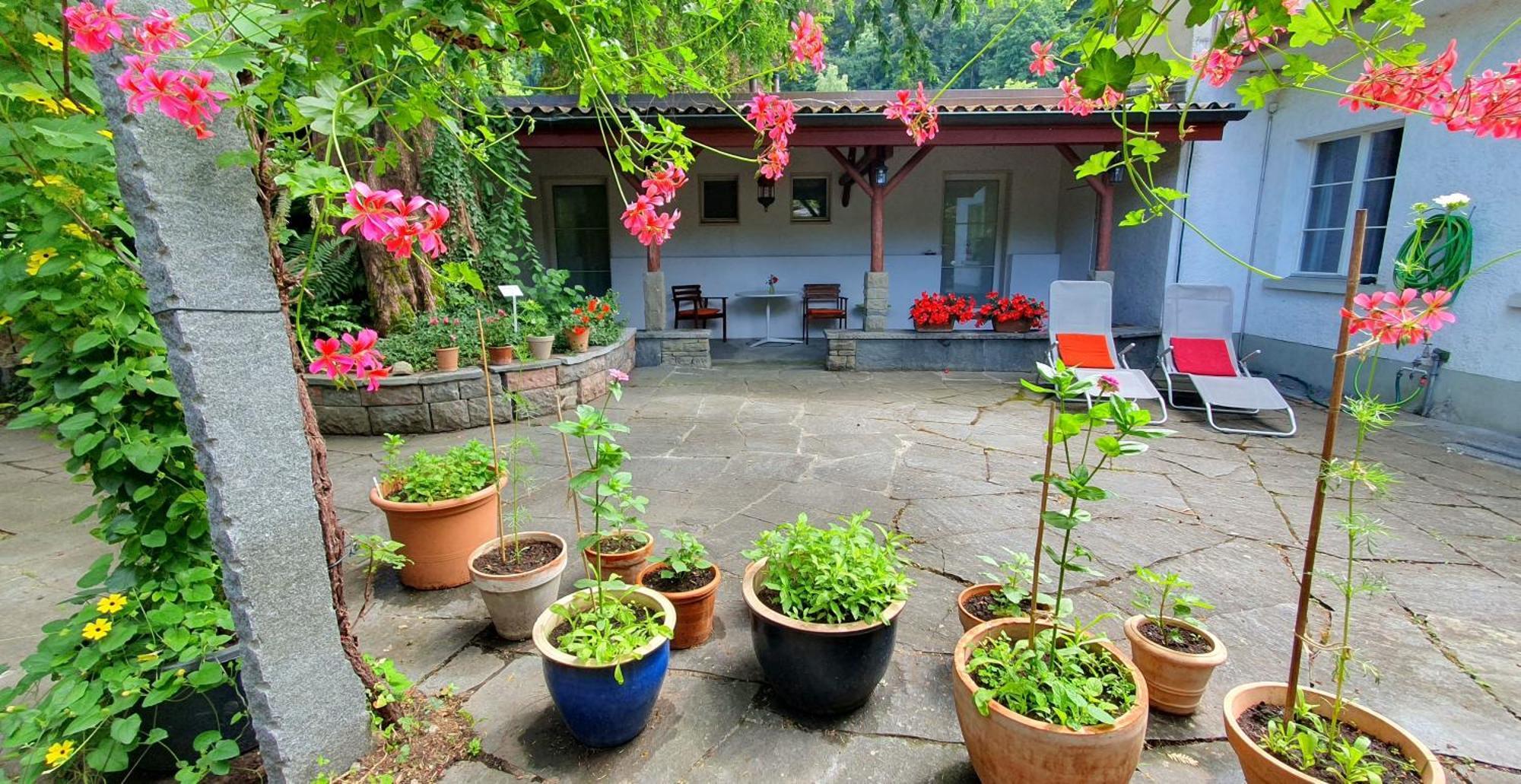 Studio Beim Rhein - Ziegelhuette Flaach Exteriör bild